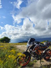 KTM 390 Duke 2016 duke