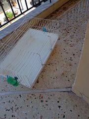 Κλουβί κουνελιού