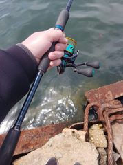 Breaden Specimen 84 Swingtop