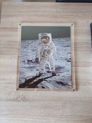 Taschen MOONLIGHT-thumb-2