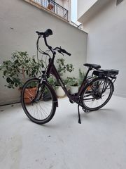 Electric Bicycles EcoBike 2024 traffik
