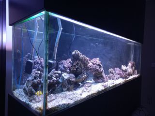 Θαλασσινό ενυδρείο με sump