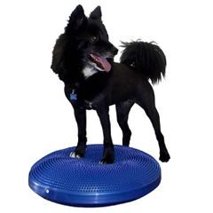 FitPAWS Δίσκος Ισορροπίας Κατοικιδίου 56 εκ. Μπλε