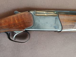 Baikal sp