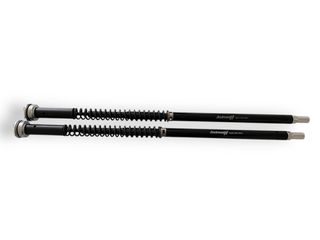 CARTRIDGE ANDREANI MISANO EVO NX 500 2024 HONDA-thumb-2