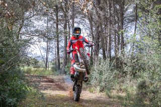 Rieju 2026 MR 300i Racing ΠΡΟΣΦΟΡΑ -1000€-thumb-17