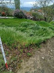 Κοβονται χορτα - καθαριζονται κηποι - αυλες κλπ