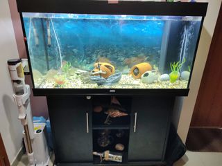 ΕΝΥΔΡΕΙΟ JUWEL RIO 300 ΜΕ ΕΠΙΠΛΟ ΚΑΙ ΜΕΓΑΛΑ ΨΑΡΙΑ