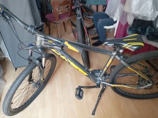 All - Mountain Carrera 2022