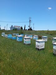 Διάφορα μελισσοκομικά είδη