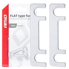 Amio - ΑΣΦΑΛΕΙΕΣ FLAT 41mm 100A - 2 Τεμ. (03494/AM)