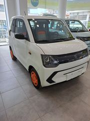 Ecocar G300 2025 EXECUTIVE