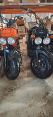 Honda Zoomer 2008