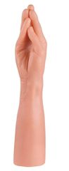 Nanma Giant Family - Horny Hand Palm
