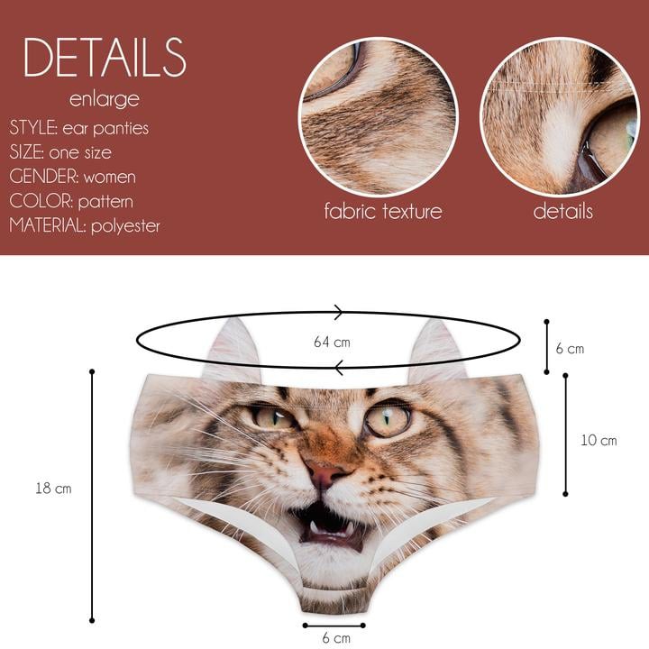 PTC 46728 Maine Coon