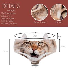 PTC 46728 Maine Coon