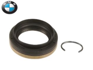 BMW / MINI Τσιμούχα, διαφορικό