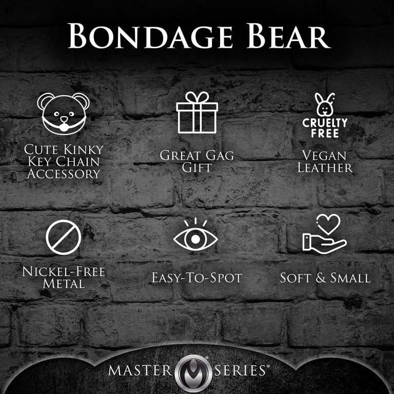 HOODED TEDDY BEAR Master Series