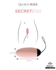Clara Morgane My Vibrating Secret EGG Pink