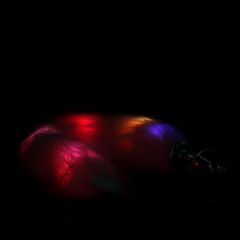 Light-up Fox Tail with Metal Butt Plug - Pink-thumb-3