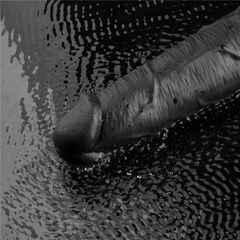 10.5" REAL SOFTEE Rechargeable Vibrating Dildo(Black)-thumb-12