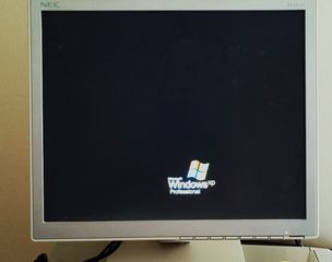 NEC LCD 1701 model L172EN  (17")