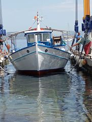 AS Marine 2009 Τρεχαντήρι