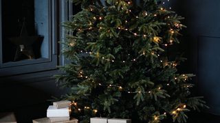 Hombli - Smart Christmas Lights / Electronics-thumb-1