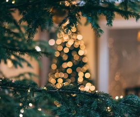 Hombli - Smart Christmas Lights / Electronics-thumb-4