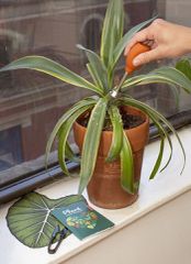 Plant Care Tin / Gadgets-thumb-3