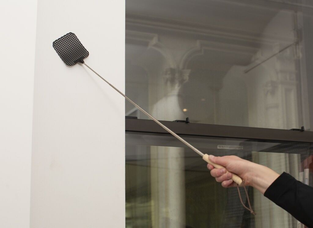 Extendable Fly Swatter Asst Bk/Gr / Gadgets