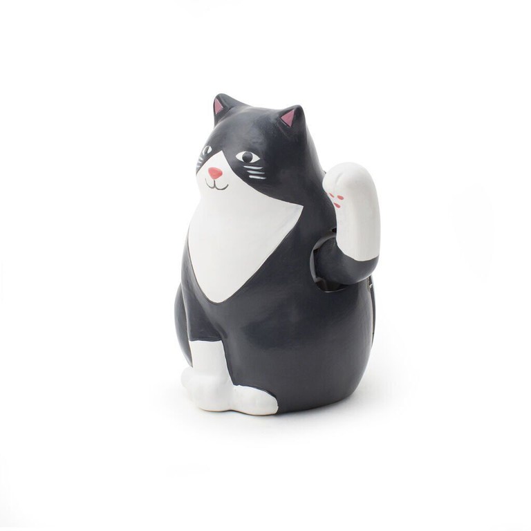 Solar Cat / Gadgets