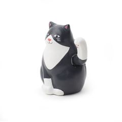 Solar Cat / Gadgets