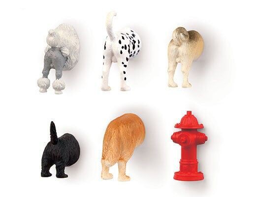 Dog Butt Magnets 6 Per Set / Gadgets