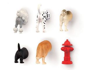 Dog Butt Magnets 6 Per Set / Gadgets