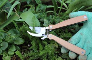 Pocket Pruner Multi Tool (CD516) / Gadgets-thumb-1