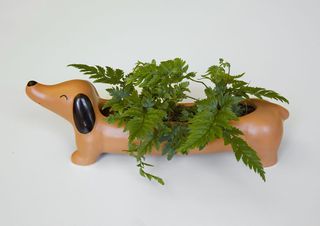 Daisy The Dachshund Planter (PL17) / Gadgets-thumb-1