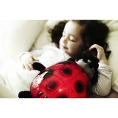 Cloud B - Twilight Ladybug, red (CB7353-zz) / Toys-thumb-1