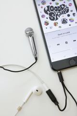 Kikkerland - Mini Karaoke Microphone - Silver (US133-EU)