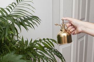 Plant Mister Brass (CD508)-thumb-1