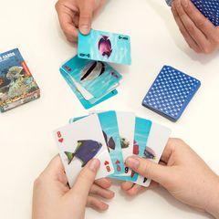 Fish 3D Cards / Gadgets-thumb-2