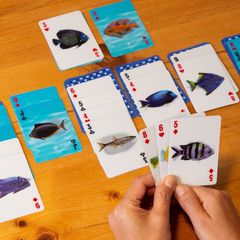 Fish 3D Cards / Gadgets-thumb-1