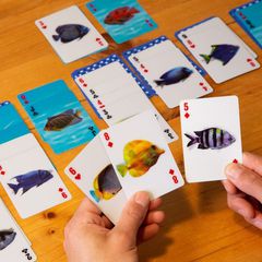 Fish 3D Cards / Gadgets-thumb-3