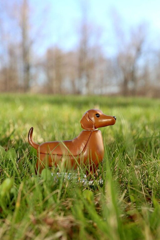 Kikkerland - Solar Dachshund - Boudewijn (1612)