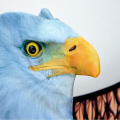 Mikamax - 3D Eagle Kite-thumb-2