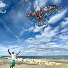 Mikamax - 3D Eagle Kite-thumb-4