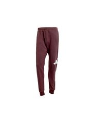 adidas Essentials Big Logo French Terry M JE8972 pants