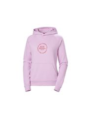 Helly Hansen Core Graphic Hoodie W 54239 052