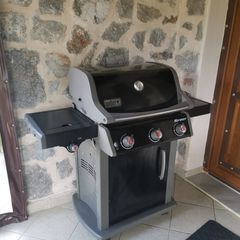 Weber spirit