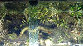 Πωλείται ενυδρείο 120 lt / στρωμένο - ζωντανό / φουλ εξοπλισμένο / με φυτά!